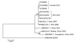 Thumbnail of Phylogenetic tree of human adenoviruses constructed using 7 sequences obtained from college students with influenza-like illness, New York, 2014–2015, and reference sequences of isolates from China (GenBank accession nos. JX892927, JN032132, and JQ824845); an isolate from Texas, USA (accession no. FJ822614); and the prototype strain, de Wit, from the Netherlands (accession no. AY803294). The tree was created by using the maximum-likelihood method based on the Kimura 2-parameter mode
