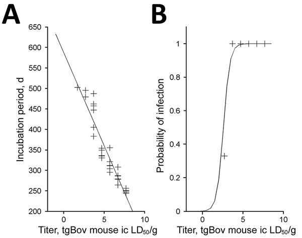 Dose–response relationship for A) incubation period and B) probability of infection of bovine PrP–expressing mice. Data were derived from an endpoint titration of 10% (wt/vol) frontal cortex homogenate from a patient with variant Creutzfeldt-Jakob disease. This homogenate was inoculated into tgBov mice (20 μL by intracerebral [ic] route; Table 1). This procedure was used to establish a model that estimates infectious titer in a homogenate on the basis of incubation period and the probability of 