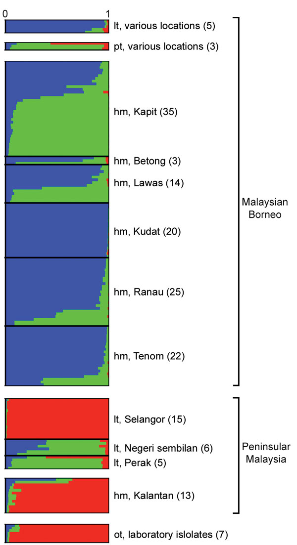 Subpopulation cluster assignments of individual Plasmodium knowlesi infections in human and macaque hosts across Malaysia and 7 laboratory isolates. The Bayesian-based STRUCTURE analysis with LOCPRIOR model (22) was applied on complete 10-microsatellite loci of 166 P. knowlesi infections and 7 laboratory isolates showing 3 subpopulation clusters (K = 3; ΔK = 37.72). Ancestral population clusters are referred to as cluster 1 (blue), cluster 2 (green), and cluster 3 (red). Numbers in parentheses i