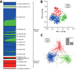 Thumbnail of Population genetic structure of combined 751 P. knowlesi infections across Malaysia and 7 laboratory isolates. A) The inference of genetic clusters on complete 10-locus genotype dataset using the STRUCTURE analysis with LOCPRIOR model (22) showed 3 major subpopulation structures (K = 3, ΔK = 98.73), corresponding to those shown in Figure 3. Numbers in parentheses indicate number of isolates. B, C) Using a priori K = 3, individual genotypes were assigned to the most probable subpopul