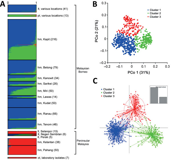 Population genetic structure of combined 751 P. knowlesi infections across Malaysia and 7 laboratory isolates. A) The inference of genetic clusters on complete 10-locus genotype dataset using the STRUCTURE analysis with LOCPRIOR model (22) showed 3 major subpopulation structures (K = 3, ΔK = 98.73), corresponding to those shown in Figure 3. Numbers in parentheses indicate number of isolates. B, C) Using a priori K = 3, individual genotypes were assigned to the most probable subpopulation cluster