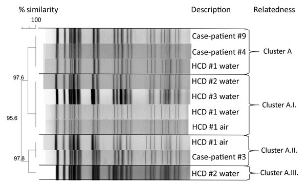 Molecular strain typing by pulsed-field gel electrophoresis of case-patients and environmental isolates of Mycobacterium chimaera in investigation of invasive extrapulmonary nontuberculous mycobacteria infections among patients who underwent cardiothoracic surgery, York, Pennsylvania, USA, 2015. HCD, heater–cooler device.