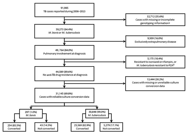 Selection of tuberculosis cases for analysis of sputum-culture conversion, United States, 2006–2013. Analysis included cases of culture-negative disease. A total of 61% of case-patients with M. bovis TB and 63% of case-patients with M. tuberculosis TB met analytic requirements for inclusion. PZA, pyrazinamide; TB, tuberculosis. *Includes patients with culture-negative disease. †Mycobacterium tuberculosis with pyrazinamide resistance (n = 757).