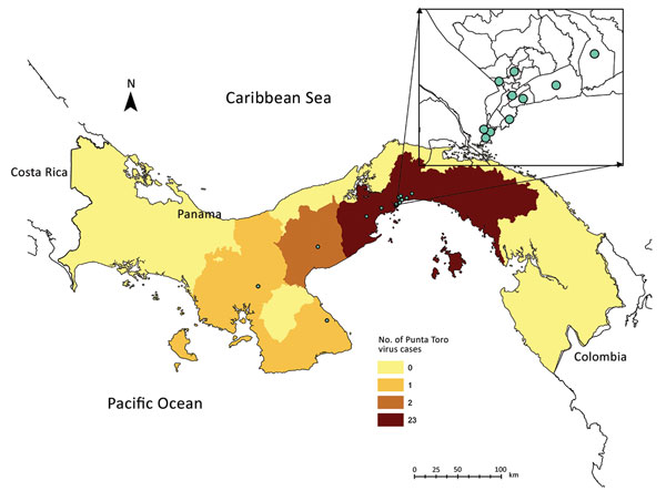 Distribution of confirmed Punta Toro species complex infections, Panama, 2009. Dots indicate cases. Inset shows enlargement of Panama City area. 