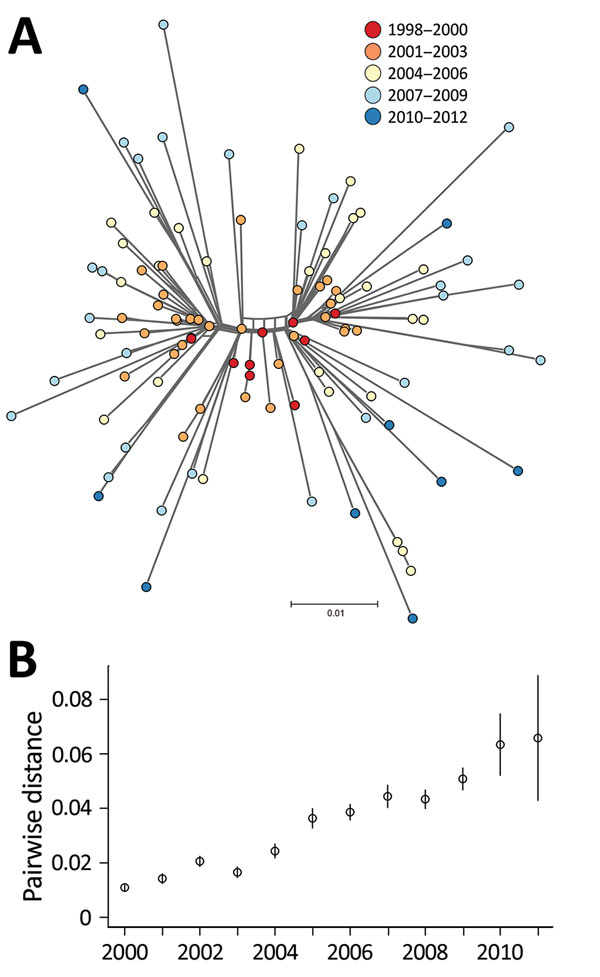 A) NeighborNet tree of 109 Salmonella enterica serovar Typhimurium DT160 isolates collected during an outbreak in New Zealand, 1998–2012. The tree was based on 793 core single-nucleotide polymorphisms. Colors indicate date of isolate collection. The scale bar represents the number of nucleotide substitutions per site. B) Scatterplot of the mean pairwise distance of 106 DT160 isolates from 2000–2011. Error bars represent 95% CIs.