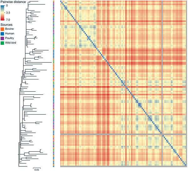 Maximum-likelihood tree of 109 Salmonella enterica serovar Typhimurium DT160 isolates collected during an outbreak in New Zealand, 1998–2012. The tree was based on 793 core single-nucleotide polymorphisms. Colored squares to the right of the branches indicate the source of isolates. The scale bar represents number of nucleotide substitutions per site. The heat map represents the Euclidean pairwise distance between isolates (based on the presence of 684 protein differences). Isolates that shared 