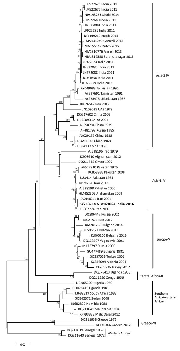 Phylogenetic tree comparing the small gene segment of Crimean-Congo hemorrhagic fever virus (CCHFV) strain isolated in India (bold) with reference CCHFV strains obtained from GenBank. The strain from India, NIV161064, was isolated in 2016 from the serum of a patient who had returned home to India after becoming ill in Oman. Representative reference strains were inferred by the neighbor-joining algorithm in MEGA6 (http://www.megasoftware.net/). Strains are identified by GenBank accession number a