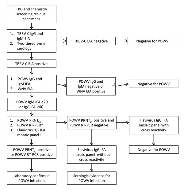 Flow chart showing series of tests performed on specimens obtained from patients with suspected TBD and patients undergoing routine chemical screening to determine POWV seroreactivity, Wisconsin, July–August 2015. *Performed for TBD samples positive for POWV IgG or IgM and chemical screening samples positive for POWV IgM by IFA assay. †Performed for samples positive for POWV IgG by IFA assay. IFA, immunofluorescence antibody assay; POWV, Powassan virus; PRNT90, &gt;90% plaque reduction neutraliz