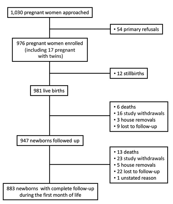 Flowchart for study of bacterial infections in neonates, Antananarivo and Moramanga, Madagascar, 2012–2014.
