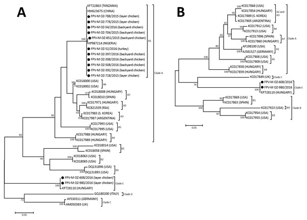 Phylogenetic analyses of avipoxviruses from 16 outbreaks, Mozambique, August 2015–November 2016. A) 4b core-like protein gene fragment. B) DNA polymerase gene fragment. Black circles indicate samples sequenced in this study. GenBank accession numbers and country of origin are indicated for related sequences. Evolutionary analyses were conducted with MEGA6 (http://www.megasoftware.net). The bootstrap values from 500 replicates are shown at nodes. Scale bars indicate number of nucleotide substitut