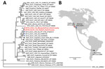 Thumbnail of Phylogeny and spread of St. Louis encephalitis virus. A) Multiple sequence alignment of 32 complete SLEV genomes from GenBank and the 2 SLEV genomes corresponding to the case-patient’s strain and a strain from a mosquito collected in June 2016 from Kern County, California (red circles and text). Alignment was performed using MAFFT (10), followed by tree generation using a neighbor-joining algorithm using Geneious (11). The cluster containing the 2014–2016 California and Arizona SLEV