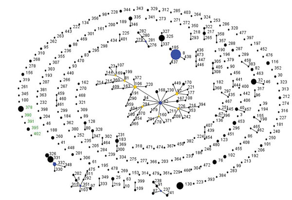 Global population snapshot of Corynebacterium diphtheriae sequence types. eBURST (http://eburst.mlst.net/) was used to display the C. diphtheriae isolates (n = 616) available in the PubMLST database (http://pubmlst.org/cdiphtheriae/) at the time of analysis (accessed June 13, 2017). Isolates from South Africa (n = 25) are green. The size of each circle is proportional to the number of isolates, and related sequence types are connected by lines. Blue and yellow circles indicate founding and subfo