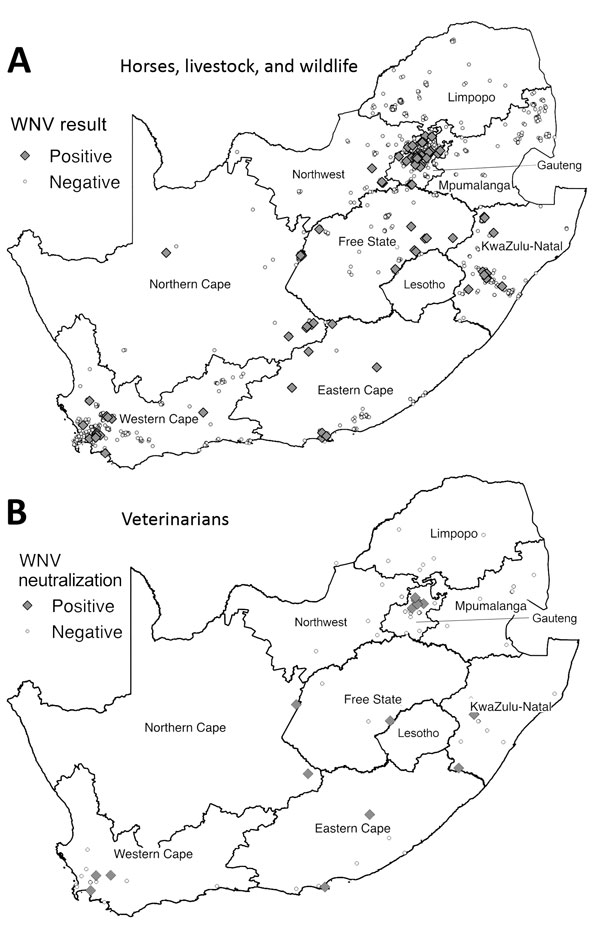 Distribution of WNV cases among horses, livestock animals, and wildlife species during 2008–2015 and of WNV neutralizing antibody‒positive veterinarians involved in equine, wildlife, and livestock disease management during 2011‒2012, South Africa. A) Samples were collected from horses during 2008–2015 and from livestock and wildlife 2010–2015. Samples were considered positive if they tested positive for WNV genome by PCR or for WNV IgM by WNV IgM Capture ELISA Test (IDEXX Laboratories, Montpelli