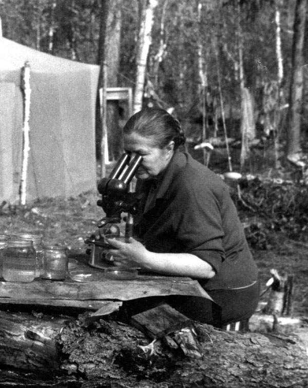 Vera I. Shakhmatova, one of the pioneers of infection experiments with the northern strain of Taenia saginata tapeworms, examining parasitologic specimens during a field expedition in northern Siberia, Russia, 1975. Photograph courtesy of the Institute of Systematics and Ecology of Animals, Siberian Branch of the Russian Academy of Sciences.