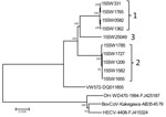 Thumbnail of Phylogenetic tree constructed on the basis of the whole-genome sequence of porcine hemagglutinating encephalomyelitis virus (PHEV) strains from fairs in Michigan, Indiana, and Ohio, USA, 2015 (indicated by genotype labels at right), compared with bovine CoV (BovCoV), human enteric CoV (HECV), and white-tail deer CoV and a reference PHEV strain from Belgium (VW572). Reference sequences obtained from GenBank are indicated by strain name and accession number. Numbers along branches ind