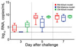 Thumbnail of log10 RNA level, by day after EBOV challenge, for each of 3 nonhuman primate models of Ebola virus disease. Box and whisker plots were created by using the available data for each day. Boxes indicate range from 25th (bottom line) to 75th (top line) percentiles; horizontal line within each box indicates median; whiskers indicate entire range of values (maximum to minimum). Dashed lines indicate limit of detection (LOD) (bottom line, 3.0 log10 RNA copies/mL) and lower limit of quantif