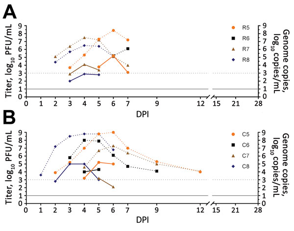 Viremia and virus RNA detected in serum of rhesus and cynomolgus macaques after intrarectal inoculation of Zika virus. A) Rhesus macaques (animal R6 showed negative results); B) cynomolgus macaques. Solid lines indicate virus titers in log10 PFU/mL. Dotted lines indicate genome copies in log10 copies/mL. The lower limit of detection was 1.0 log10 PFU/mL for virus titers and 3.0 log10 copies/mL for genome copies. C, cynomolgus; DPI, days postinoculation; R, rhesus.