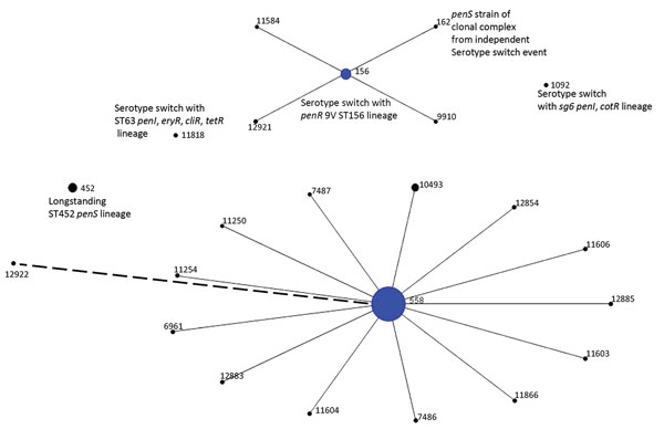 Population snapshot of 199 serotype 35B pneumococcal isolates obtained by ongoing Active Bacterial Core surveillance, United States, 2015–2016, configured by using eBURST (21). Diameters are proportional to number of isolates. Solid lines indicate single-locus variants, and the single dashed line indicates a double-locus variant of ST558. ST, sequence type.