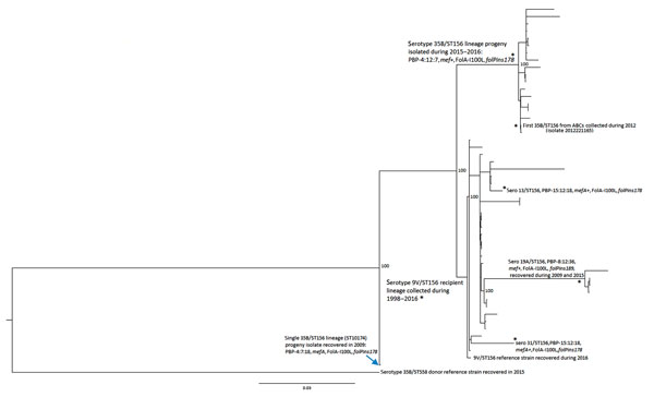 Phylogenetic analysis of potential recipient and serotype switch pneumococcal progeny strains within the ST56 lineage based upon a total alignment of 10,409 core single-nucleotide polymorphisms, United States, 2015–2016. All 20 serotype 35B progeny shown were recovered through Active Bacterial Core surveillance, and all but 2 indicated strains were obtained during 2015–2016. Isolate features are depicted for the 2 major nodes, with exceptions indicated by asterisks within the tree. Bootstrap val