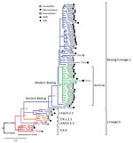 Thumbnail of Phylogenetic analysis of Mycobacterium tuberculosis isolates obtained from patients with tuberculous spondylitis, Russian Federation, 2007–2014. Symbols indicate drug resistance: susceptible to all tested drugs; monoresistant to 1 drug; polyresistant, resistant to multiple drugs other than isoniazid or rifampin; MDR, resistant to isoniazid or rifampin; XDR, resistant to isoniazid or rifampin plus any fluoroquinolone and &gt;1 of 3 injectable second-line drugs. Number of isolates and