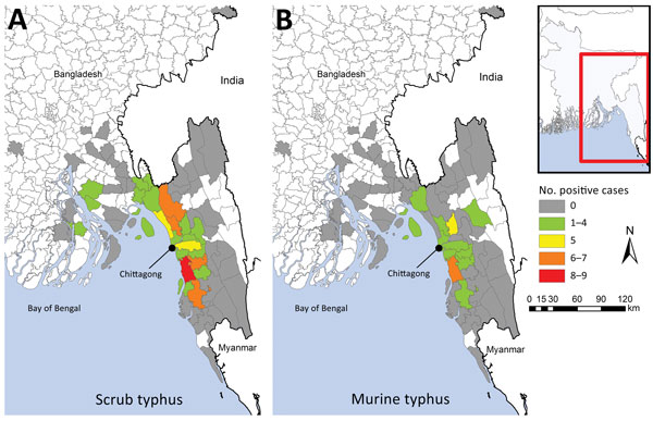 Geographic distribution of scrub typhus (A) and murine typhus (B) cases, Chittagong, Bangladesh, August 2014–September 2015. Inset shows location of enlarged area (red box).