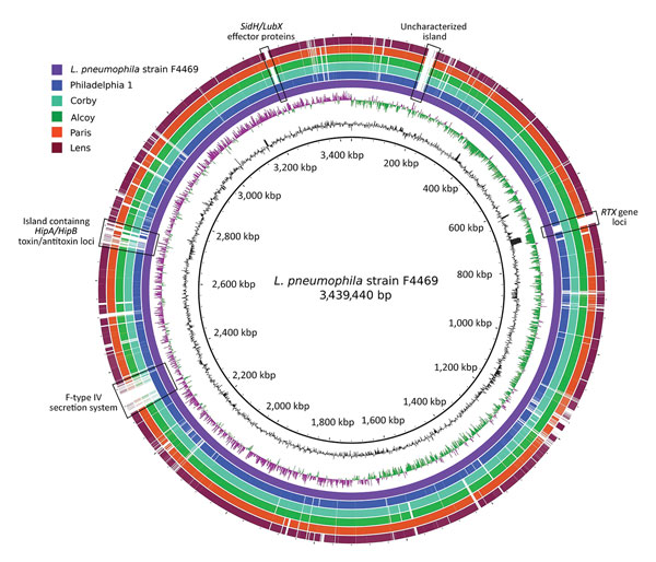 Blast ring genome comparison of Legionella pneumophila strains from investigation of Legionnaires’ disease outbreak caused by an endemic strain of L. pneumophila, New York City, New York, USA, 2015. Comparison is shown between South Bronx outbreak strain (F4469) and other sequenced strains (Philadelphia 1, Corby, Alcoy, Paris, and Lens). The 2 innermost circles indicate G + C content and G + C skew, respectively, of the outbreak strain genome. Gaps in outer circles indicate genome areas in strai