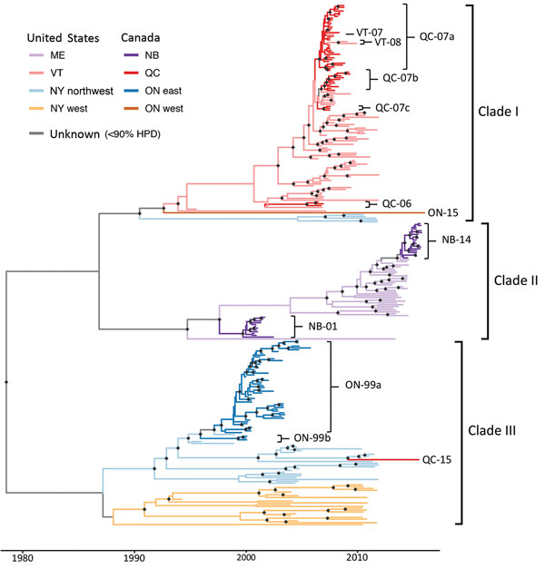 Time-scaled maximum clade credibility phylogeny of sequenced genomes of raccoon-specific variant of rabies virus, US–Canada border. Branches are colored by inferred geographic region. Samples belonging to Canada lineages are labeled by province and year of first sample, as is backflow of infection from Canada into Vermont. Black diamonds indicate nodes with &gt;90% posterior support. HPD, highest posterior density; NB, New Brunswick; ON, Ontario; QC, Quebec.