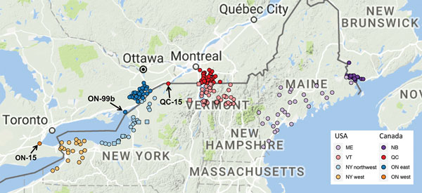 Locations of sequenced samples from Canada outbreaks of raccoon-specific variant of rabies virus infection in western Ontario (n = 1), eastern Ontario (n = 56), Quebec (n = 51), and New Brunswick (n = 32); and from the United States within 75 km of the border in western New York (n = 23), northwestern New York (n = 29, including 5 samples into clade I, indicated by squares), and Vermont (n = 64, including 2 samples from New York that grouped within this clade, indicated by squares); and from thr