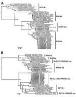 Thumbnail of Phylogenetic analysis of viral protein 60 (VP60) capsid (n = 47) and nonstructural (n = 44) genes of RHDV strains from Australia and reference sequences. Maximum likelihood phylogenies of the A) VP60 capsid genes and B) nonstructural genes were prepared from an alignment of the newly sequenced RHDV samples (bold) along with published sequences (accession numbers of published sequences indicated in the taxa name). The JN165235/FP/China/2009 and JN165234/XA/China/2010 sequences were r