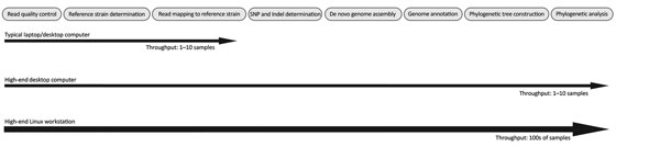 Steps in the bioinformatic pipeline implemented at Utah Public Health Laboratory.