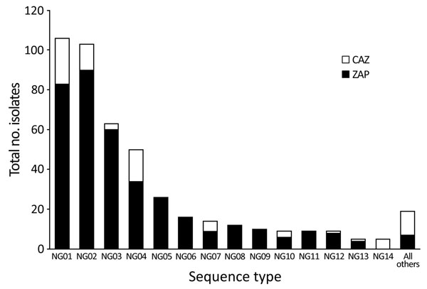 Genotype frequency of the 456 Neisseria gonorrhoeae clinical samples taken from patients in the Northern Territory of Australia, 2014, that were successfully genotyped by using the iPLEX14SNP method (9). Presence of each genotype in the CAZ or ZAP regions is indicated. CAZ, ceftriaxone via intramuscular injection and oral azithromycin; ZAP, azithromycin, amoxicillin, probenecid.