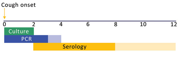 Optimal timing for diagnostic testing for pertussis, in weeks. Dark colors indicate optimal timing window; lighter colors indicate that tests may provide accurate results during these periods. 