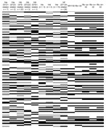 Thumbnail of Biomarker analysis of matrix-assisted laser desorption/ionization time-of-flight mass spectra of encapsulated Haemophilus influenzae. Analysis was performed on all encapsulated isolates in the evaluation set (n = 83) and capsule transformants (n = 4). Rows are peaks (2,000–20,000 m/z in descending order), and columns are groups of encapsulated H. influenzae. A total of 124 peaks with discriminatory power (p&lt;0.05) between different capsule types and genetic lineages were identifie