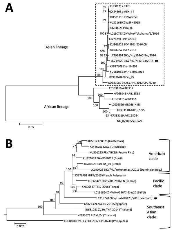 Phylogenetic analysis of the Zika virus sequence derived from a patient returning to Japan from Vietnam in November 2016. The phylogenetic tree was based on a nearly complete genome and constructed by using the maximum-likelihood method (MEGA 7.0, http://www.kumarlab.net/publications). The sequence derived from the patient is indicated with an arrow. A) The phylogenetic tree based on a nearly full-length region. B) The expanded Asian lineage branch (dotted box in panel A). Scale bars indicate nu