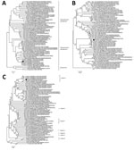 Thumbnail of Phylogenetic trees of capsid protein (A), RNA-dependent RNA polymerase protein (B), and whole-genome nucleotide (C) sequences of a PoAstV type 3 strain (PoAstV3/USA/IA/7023/2017, filled circle) from central nervous system tissues of sows with neurologic signs and histopathologic lesions compatible with neurotropic viral infection compared with 66 reference viruses available in GenBank (accession numbers shown in parentheses), which came from multiple animal species (as indicated). W