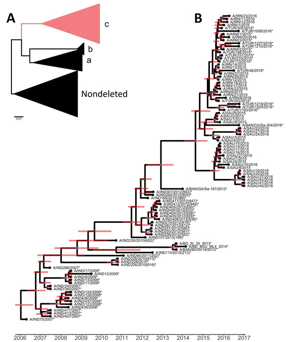 Phylogenetic analyses of viral protein 1–coding sequences of foot-and-mouth disease viruses classified within the A/ASIA/G-VII lineage (isolated during 2006–2017) and reference viruses. A) Maximum-likelihood analysis showing 4 clades (sublineages). Scale bar indicates nucleotide substitutions per site. B) Bayesian phylogenetic analysis viruses grouping within clade C. Red lines indicate 95% high posterior density of the most recent common ancestor. *Non–World Reference Laboratory for Foot-and-Mo