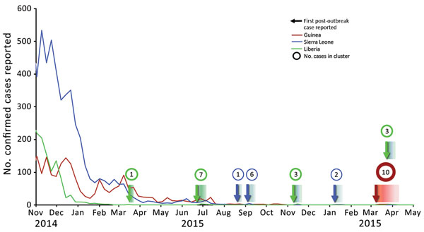 Ebola virus disease clusters after interruption of the 2014–2015 Ebola outbreak in Liberia (green), Sierra Leone (blue), and Guinea (red). Lines reflect total weekly case numbers during the primary outbreak. Arrows indicate the first reported case in each postoutbreak cluster; color indicates the country where the cluster was first recognized (the March 2016 cluster began in Guinea, but spread to Liberia), and gradients indicate timespan of cluster. Circle sizes are proportional to cluster size,