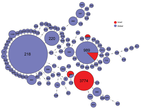 Multilocus sequence typing comparison of Streptococcus pneumoniae serotype 12F serotype isolates from Israel and globally.