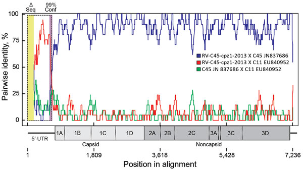 Recombination between viral genotypes rhinovirus C45 and C11 leading to RV-C45-cpz1-2013, the strain identified in the Kanyawara chimpanzee community, Uganda, 2013. Analyses were performed in RDP4 (17) on aligned rhinovirus C genome sequences of 36 known genotypes. Each alignment entry encoded the full or nearly full polyprotein gene sequence, but some sequences were missing fragments (&lt;400 bp) of their respective 5′-UTRs (Δ seq, yellow box at left). The 3′ poly(A) tail was not included. A re