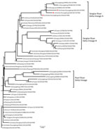 Thumbnail of Phylogenetic analysis of the hemagglutination gene of 3 isolates (triangles) of avian influenza (H7N9) virus obtained from chickens in southern China, 2016–2017, compared with reference isolates. The tree was constructed by using the neighbor-joining method with the maximum composite likelihood model in MEGA version 5.2 (http://www.megasoftware.net) with 1,000 bootstrap replicates, based on the nucleotide sequence 1–1,695. Virus lineages are shown at right. Scale bar indicates nucle