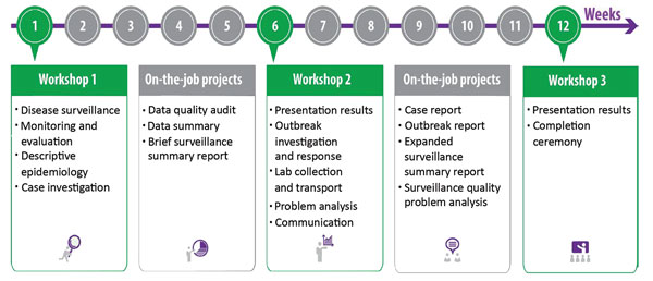 General program schedule showing the 3 classroom workshops (green boxes) and 2 field stages (gray boxes) in a standard Frontline Field Epidemiology Training Program curriculum.