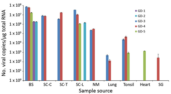 Logarithmic graph of the viral copy numbers of porcine astrovirus type 3 (PoAstV-3) in different organs determined by SYBR Green–based quantitative reverse transcription PCR (RT-qPCR) of samples from 5 symptomatic newly weaned pigs (GD-1–5; see Table 1) from a farm in Hungary. All the samples, which were positive for PoAstV-3 only by nested RT-PCR, were found negative by quantitative RT-PCR. BS, brainstem; CNS, central nervous system; NM, nasal mucosa; SC-C/T/L, cervical, thoracic, or lumbar spi