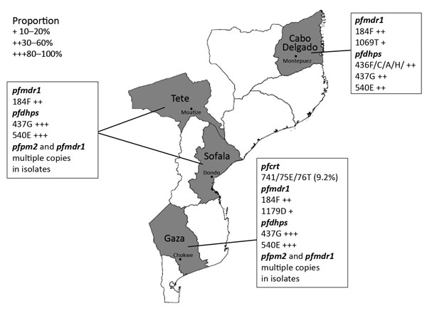 Location of sampling sites and distribution of resistance markers of Plasmodium falciparum in Mozambique, 2015.