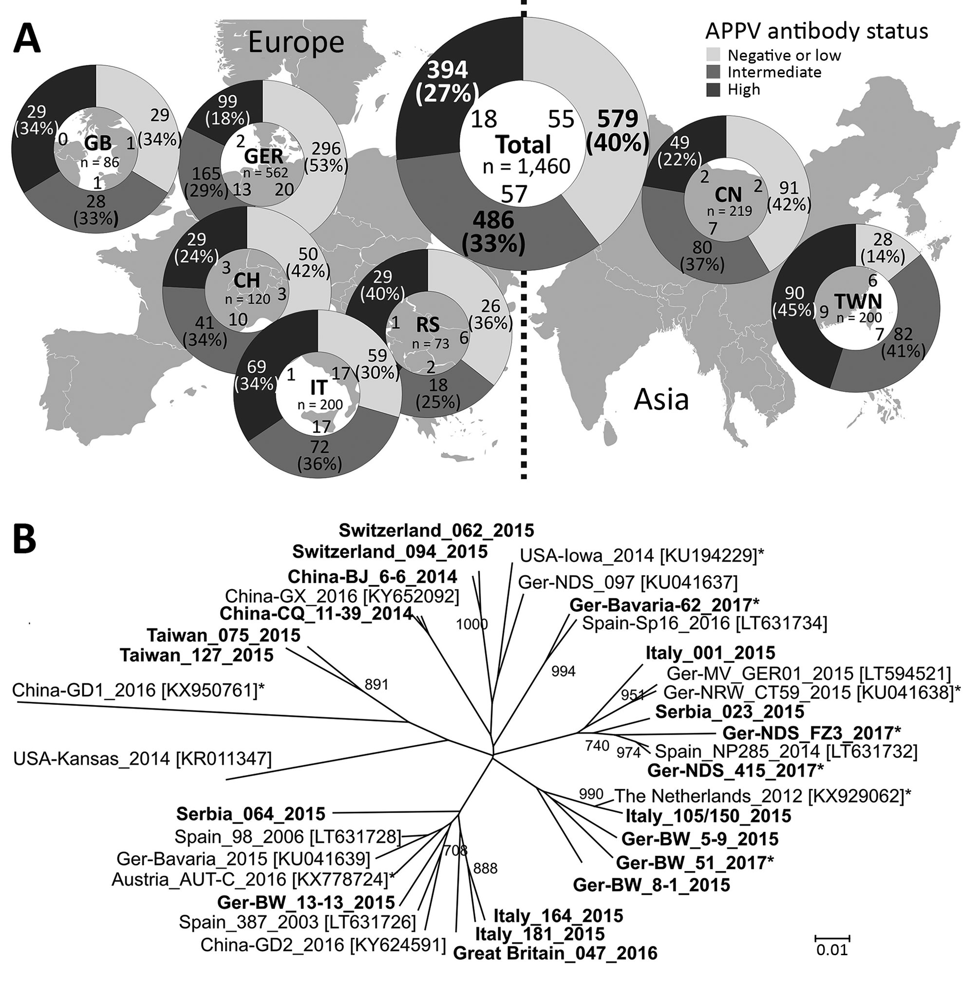 Detection rates of APPV genome and antibodies and genetic variability in Europe and Asia. A) APPV antibody status in pigs from parts of Europe and Asia. The region of origin, the number of investigated samples, and the absolute numbers of APPV genome–positive samples in dependence on the serologic category (low, intermediate, or high APPV antibody status) are shown in the central circle. B) Phylogenetic tree based on a 400-nt fragment in the nonstructural protein 3 encoding region. We calculated