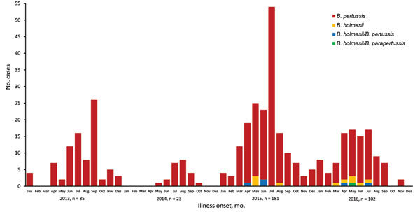 Timeline distribution of the 391 whooping cough cases diagnosed at the Hospital Vall d’Hebron, Barcelona, Spain, 2013–2016, showing Bordetella species detected.
