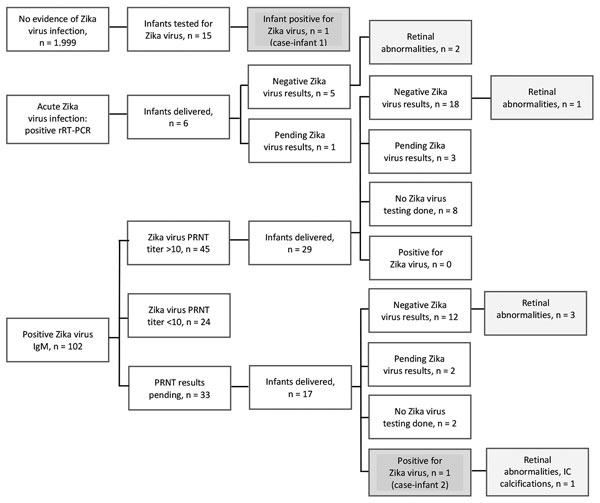 Maternal and infant Zika virus test results and outcomes, Miami–Dade County, Florida, USA, 2016. IC, intracranial; PRNT, plaque-reduction neutralization testing; rRT-PCR, real-time reverse transcription PCR.