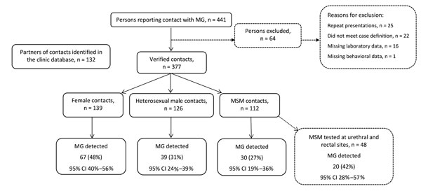 Flowchart for 441 persons examined at Melbourne Sexual Health Centre who reported sexual contact with a Mycoplasma genitalium–infected partner, Melbourne, Victoria, Australia, August 2008–July 2016. Dashed lines indicate persons excluded for analysis or subanalysis. MG, Mycoplasma genitalium; MSM, men who have sex with men.