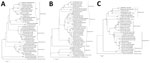 Thumbnail of Phylogenetic analysis of Crimean-Congo hemorrhagic fever virus from patient in Spain, 2016, compared with reference sequences. A) Small segment (1,450 bp); B) medium segment (4,497 bp); C) large segment (11,829 bp). Trees were generated with the neighbor-joining method with Kimura 2-parameter distances by using MEGA version 5.1 (http://www.megasoftware.net). Bootstrap confidence limits were calculated on the basis of 1,000 replicates; numbers on branches indicate bootstrap results. 