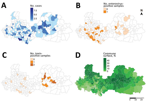 Geographic distribution of acute encephalitis-like syndrome in children, samples, and litchi cultivation at the commune level in Bac Giang Province, northern Vietnam, 2008–2011. A) No. cases of acute encephalitis-like syndrome meeting the inclusion criteria (n = 185); B) no. enterovirus-positive samples among all cerebrospinal fluid samples analyzed (n = 57); C) no. toxin-positive samples among all blood samples analyzed (n = 20); D) percentage of commune surfaces devoted to litchi cultivation.