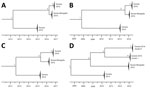 Thumbnail of Schematic representation of the molecular dating analysis of highly pathogenic avian influenza A virus subtypes H5N8 and H5N5 detected in the Netherlands, 2016. Time-scaled phylogenetic trees are shown for 4 gene segments: A) hemagglutinin; B) polymerase basic 2; C) nucleoprotein; and D) polymerase acidic. For each of the numbered nodes, calculated time of most recent common ancestor, 95% highest posterior density interval, and posterior are listed in the Table.